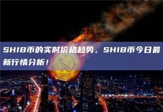 SHIB币的实时价格趋势，SHIB币今日最新行情分析！